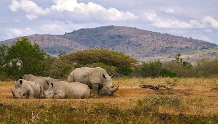 safari namibia 7890x443